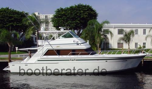 Bertram 58 Convertible  technische daten 